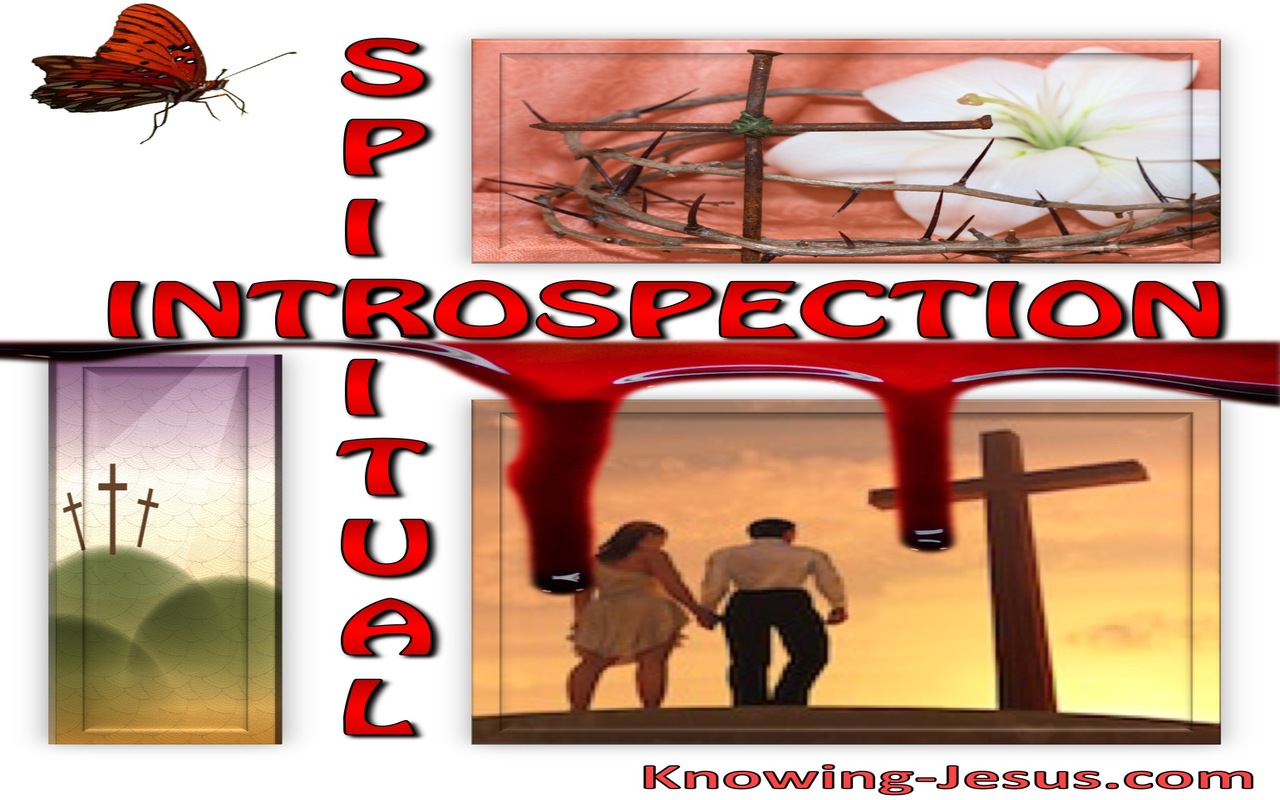 Spiritual Introspection (devotional)05-27 (red)